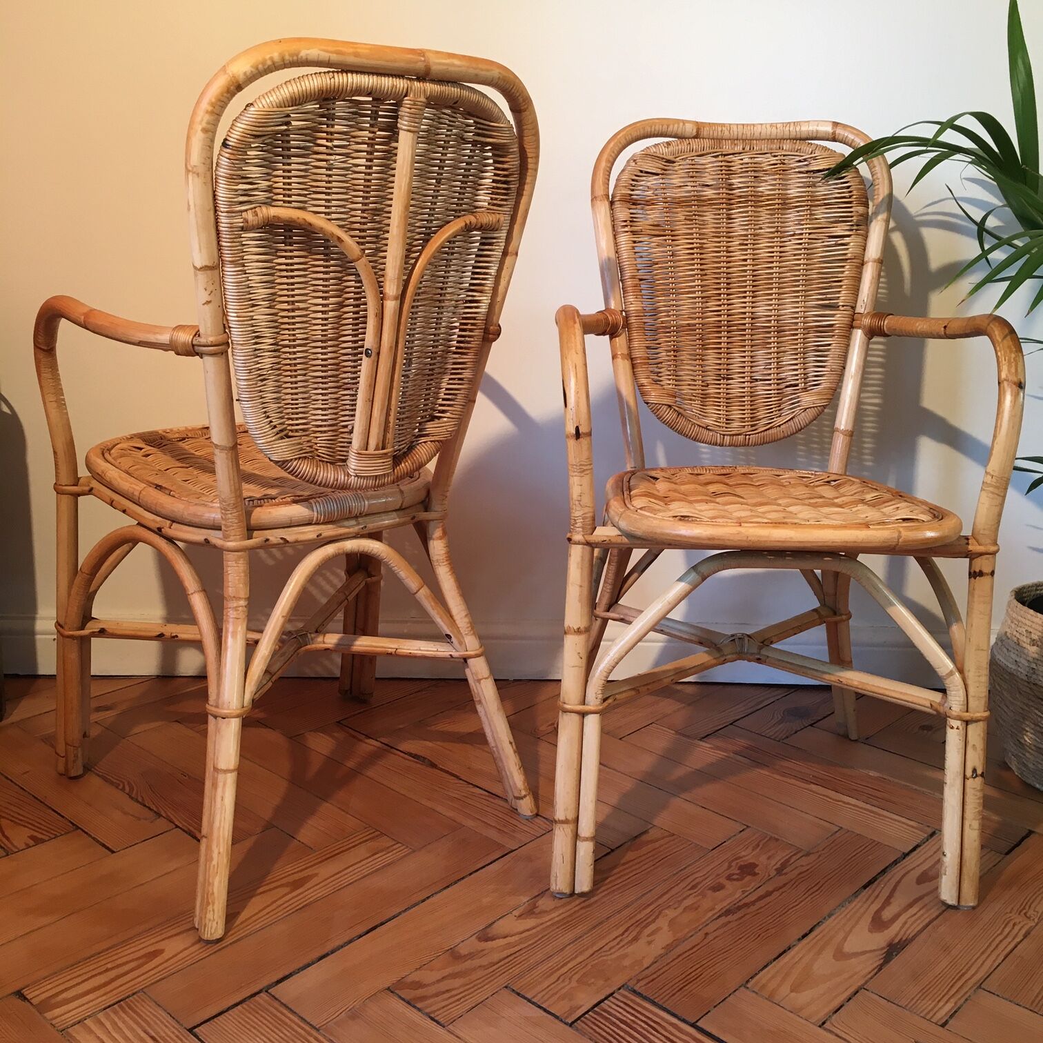 Pair of light rattan chairs