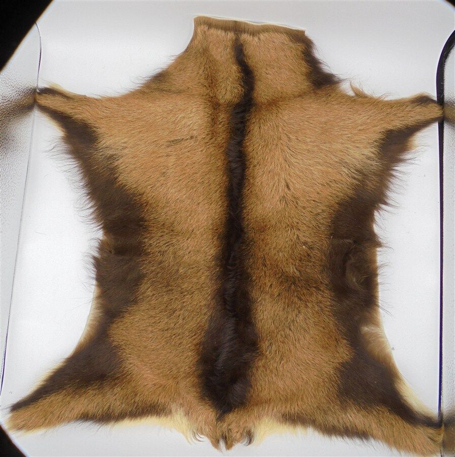 Goat skin