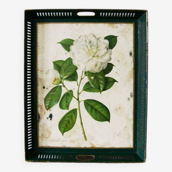 White rose metal tray