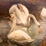 Pedagogical poster, swans, 1929