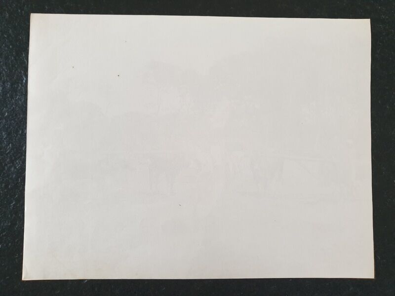 Pascal Sébah (1823-1886) - Photograph, albumen print - The ploughmen, Egypt