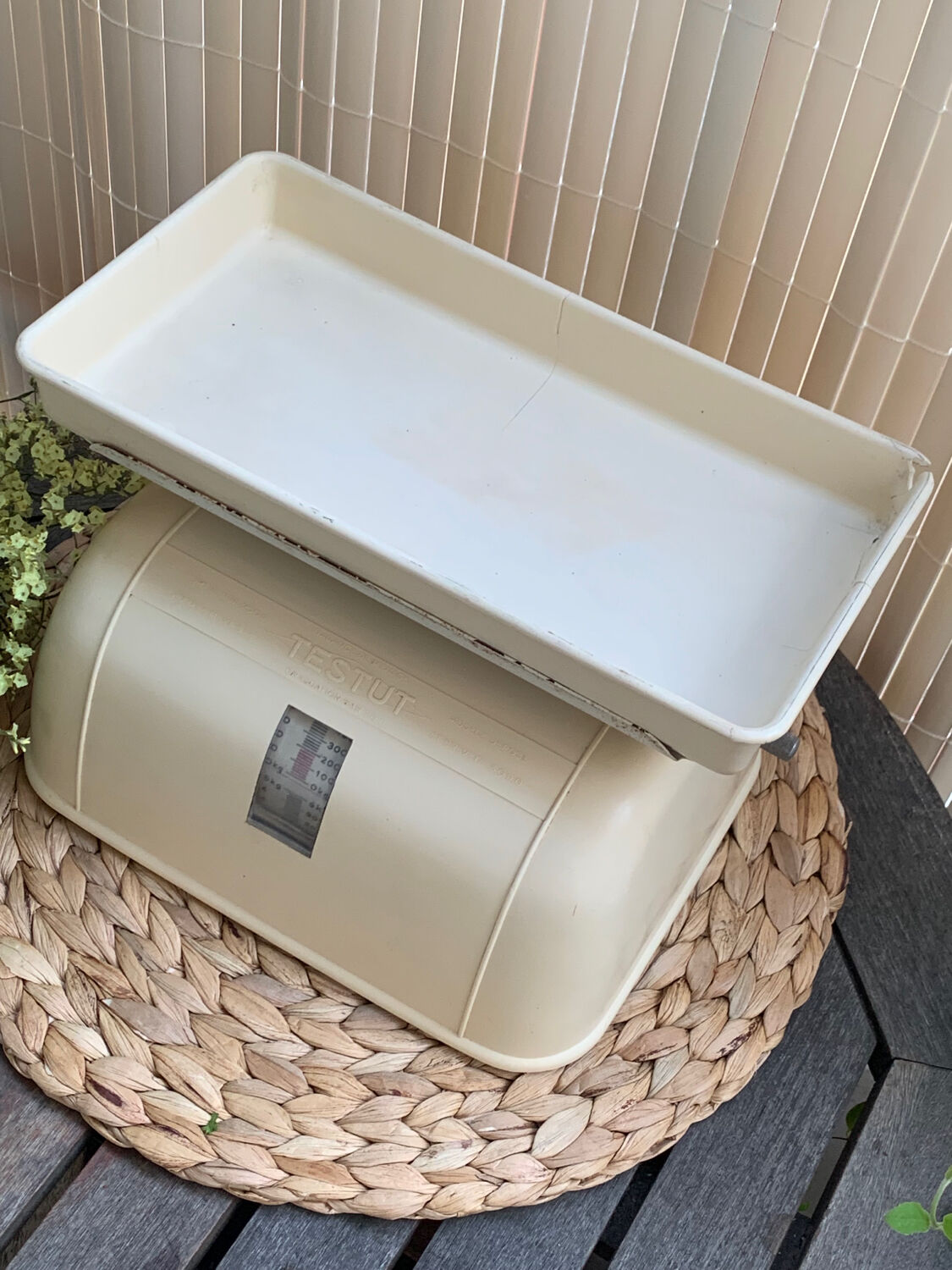 Testut household balance