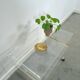 Space age plexiglas trolley met messing