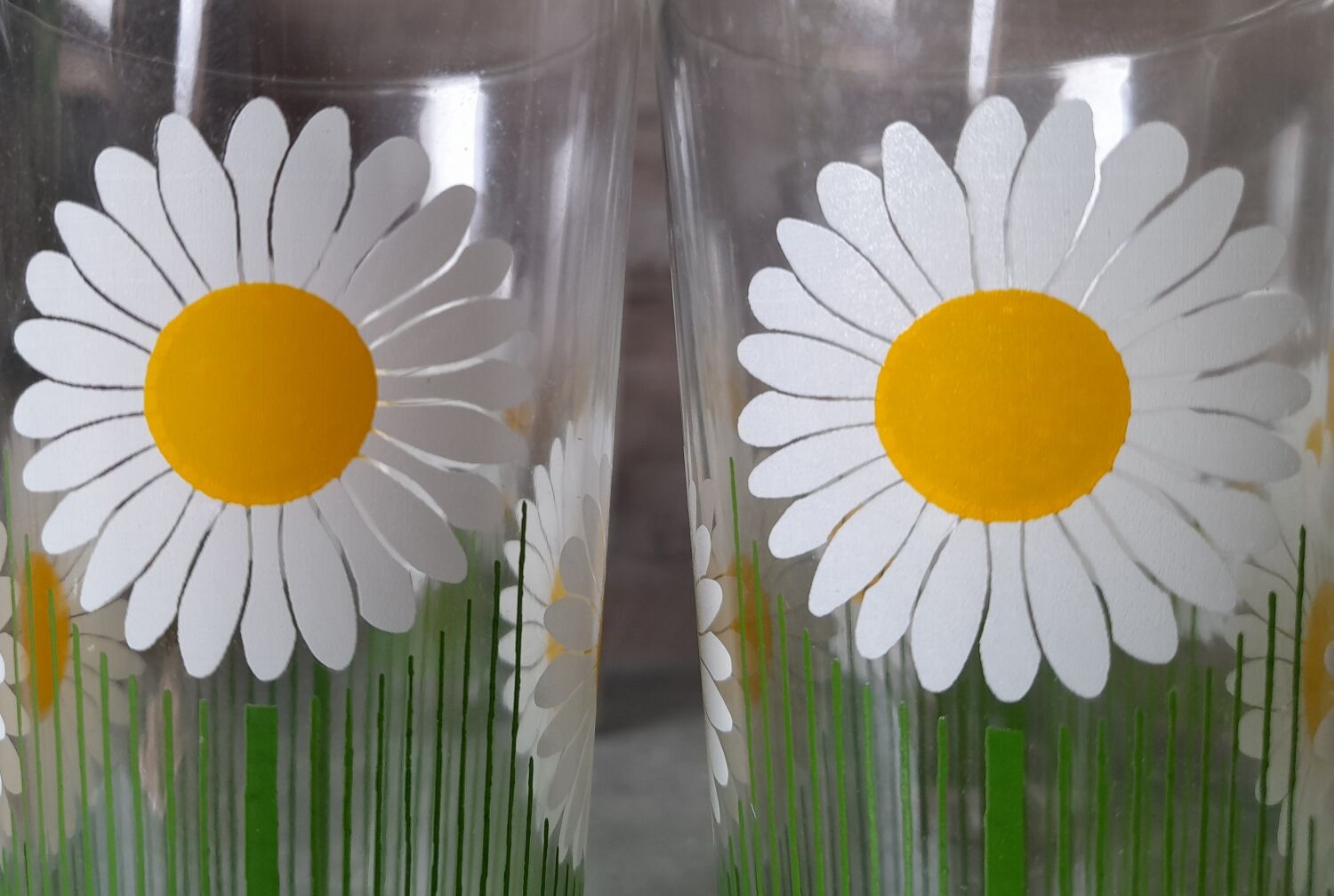 Service at orangeade daisies