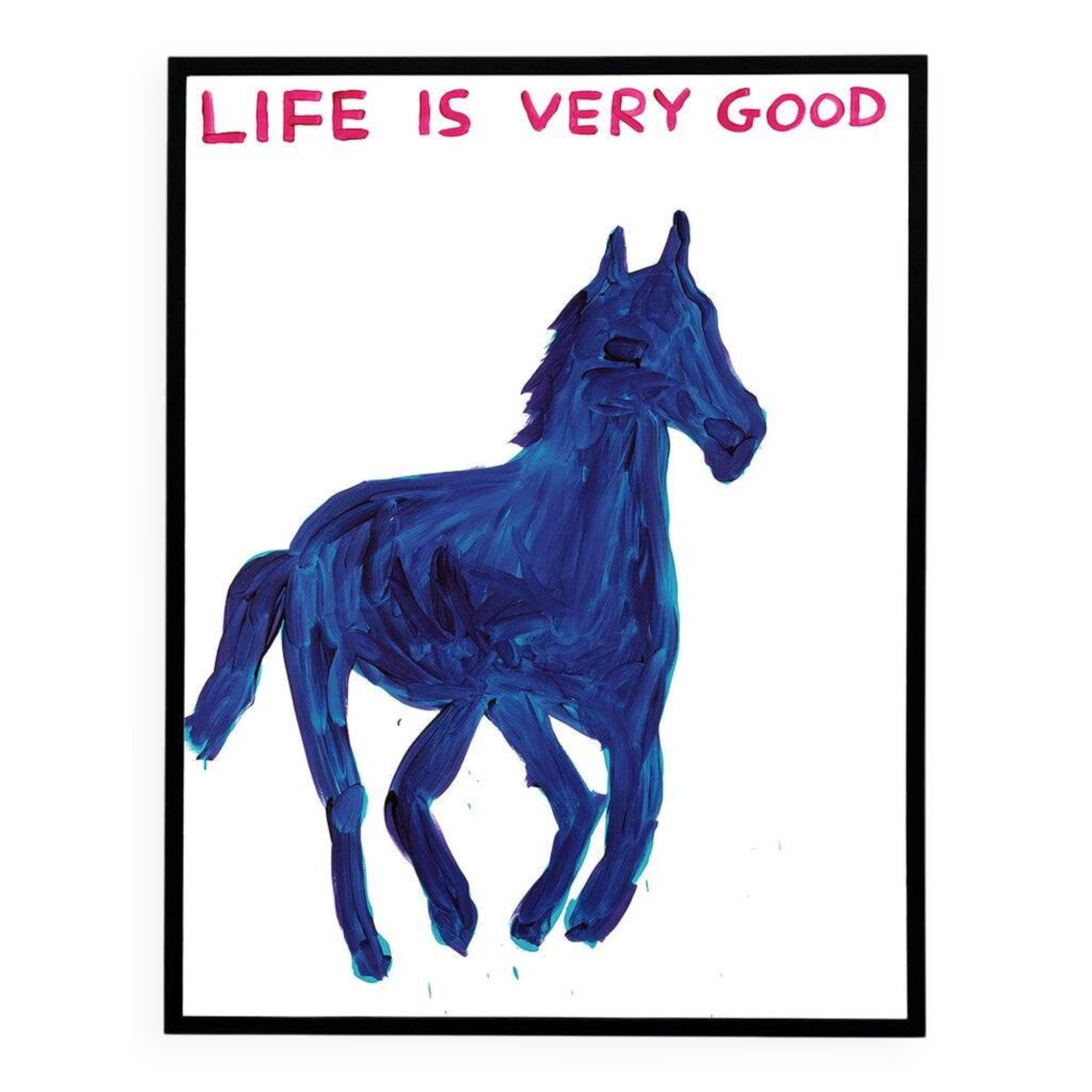 David Shrigley, Life Is Very Good, 2016