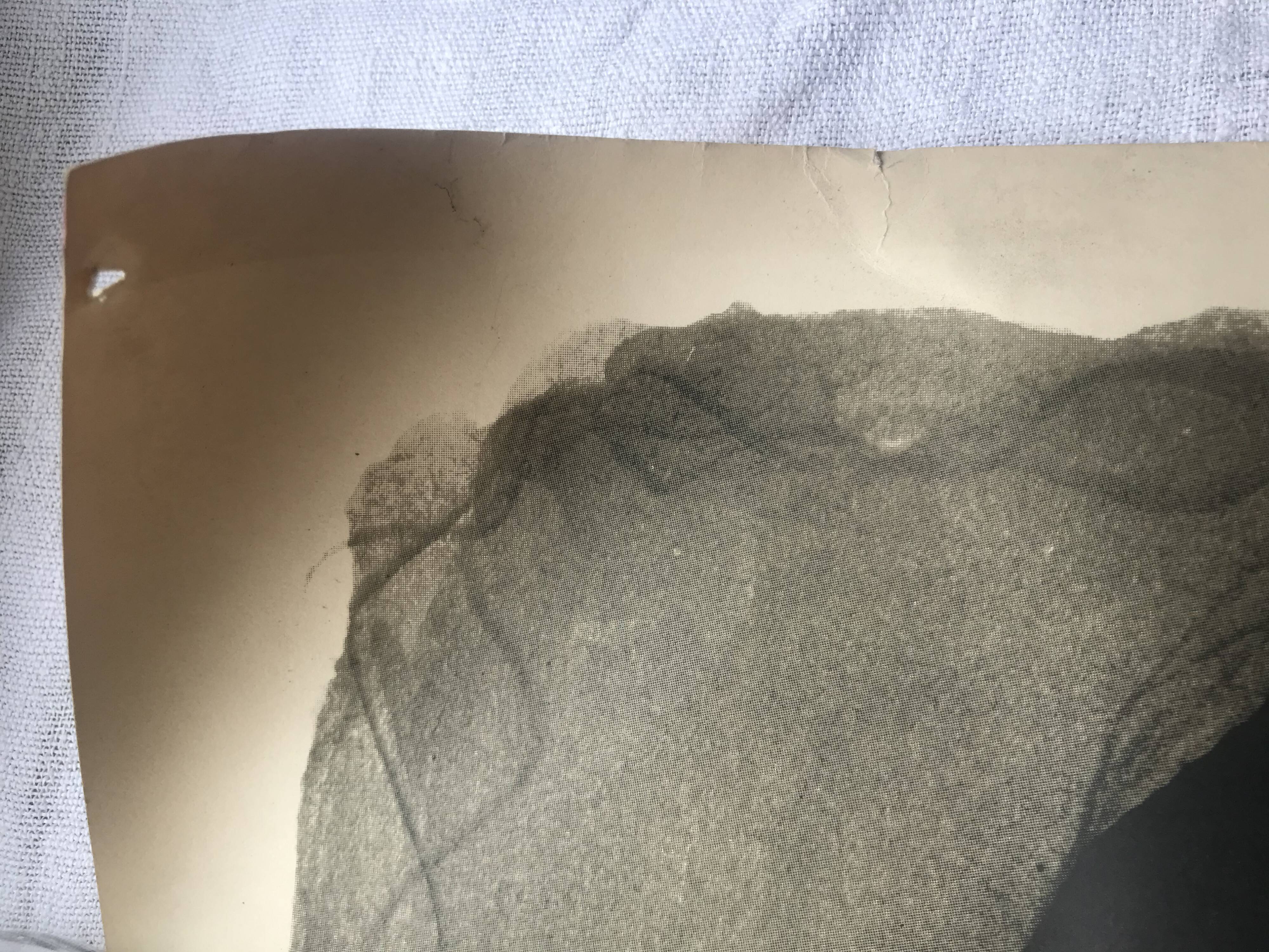 Poster Georges Braque litho offset 1956 - Three red birds -