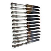 Coffret 12 couteaux de table – Métal argenté et inox