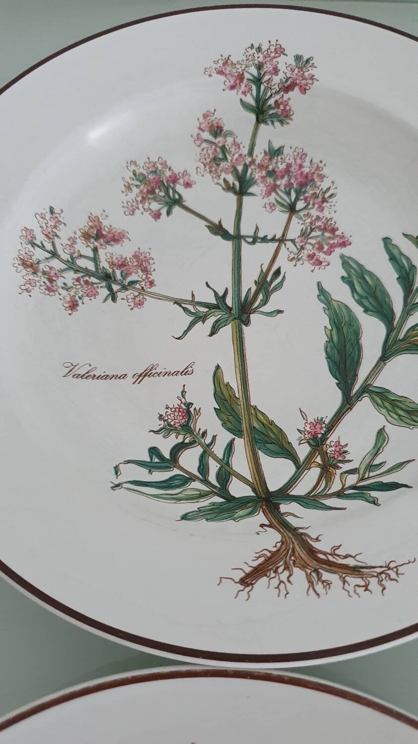 Set of 4 Villeroy and Boch plates, Botanica collection