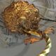 Napoleon III bronze chandelier, Louis XV style, baroque rocaille twist, 189