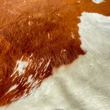 Caramel cowhide carpet