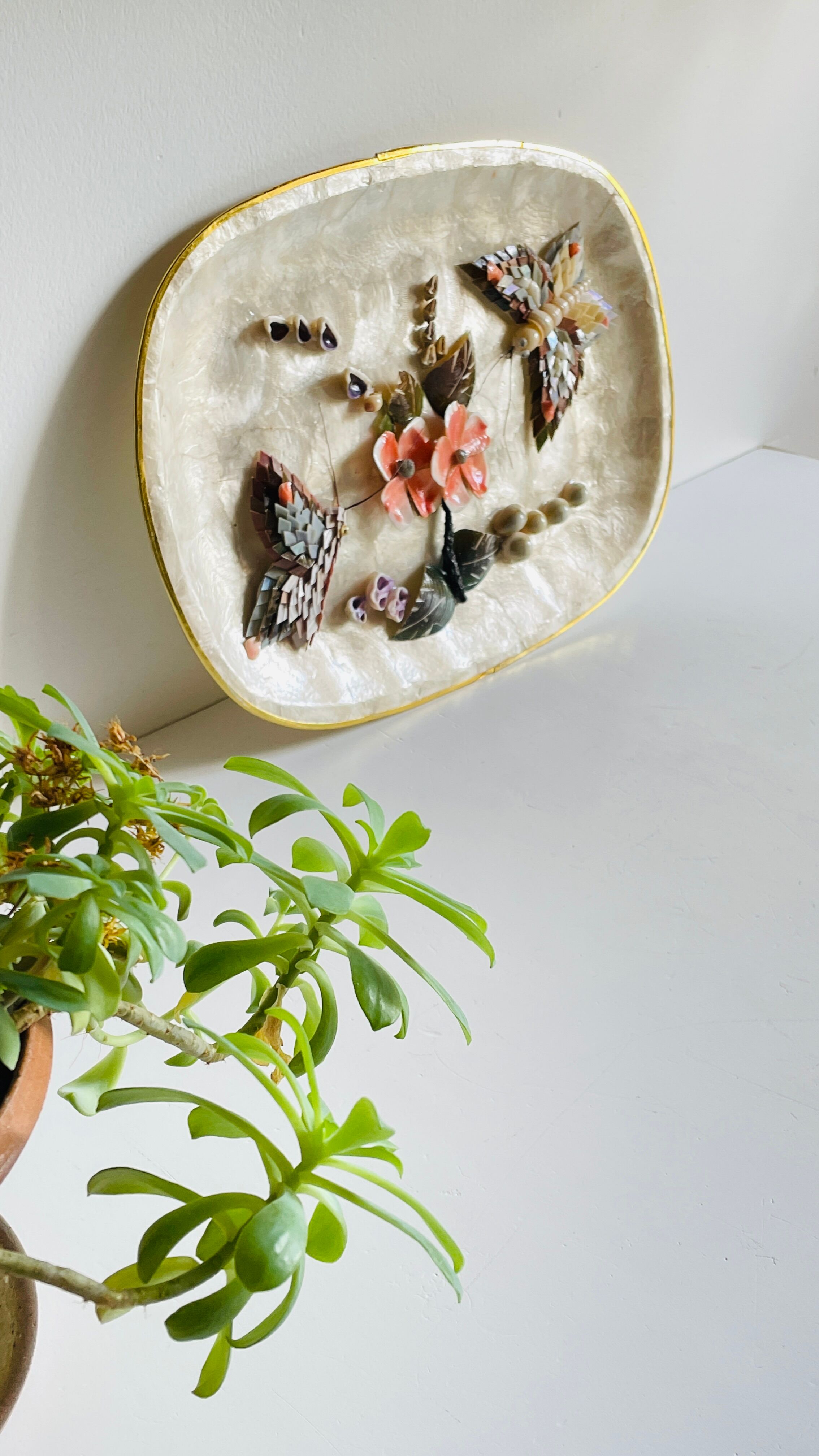 Decorative Shells Plateau Vintage