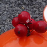 Apple ice buckets