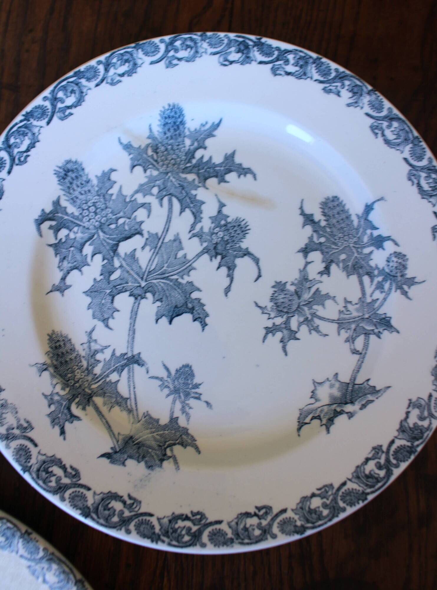 A set of 5 flat plates Chardon Bleu Terre de Fer Clairefontaine Righi