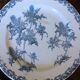 A set of 5 flat plates Chardon Bleu Terre de Fer Clairefontaine Righi
