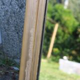 Louis Philippe gilded antique mirror