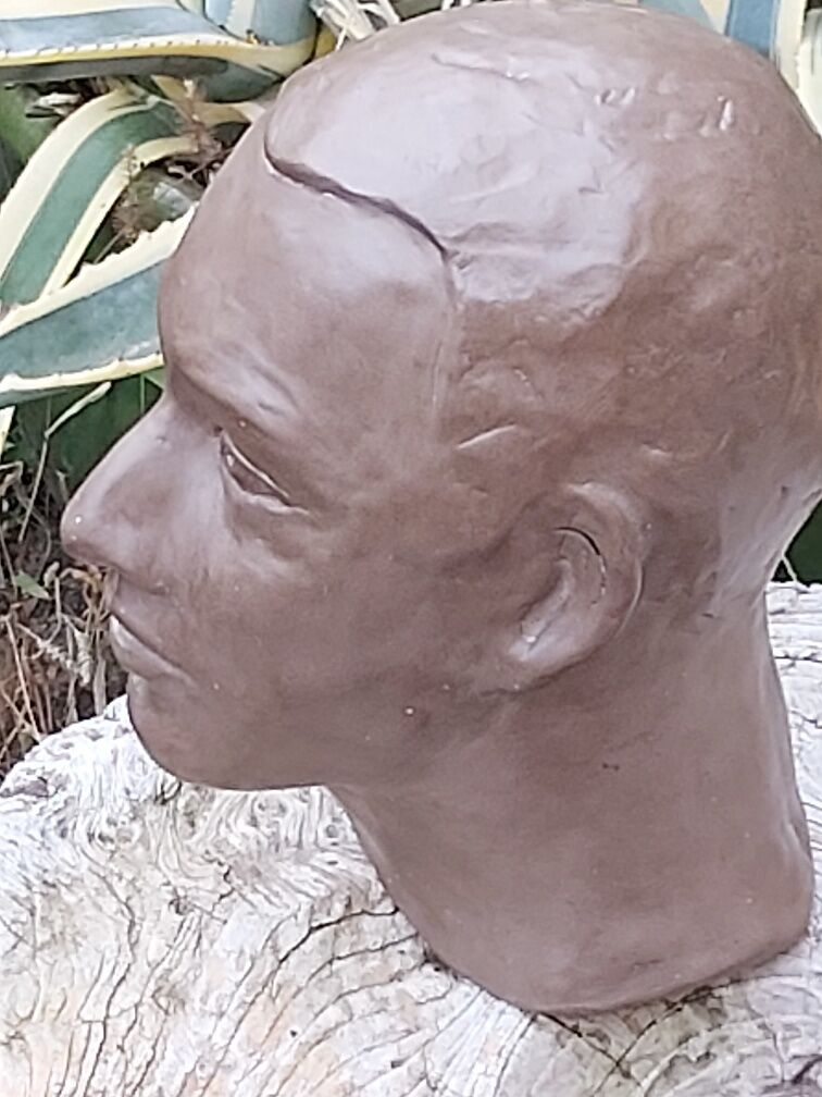 Buste tête homme terre cuite