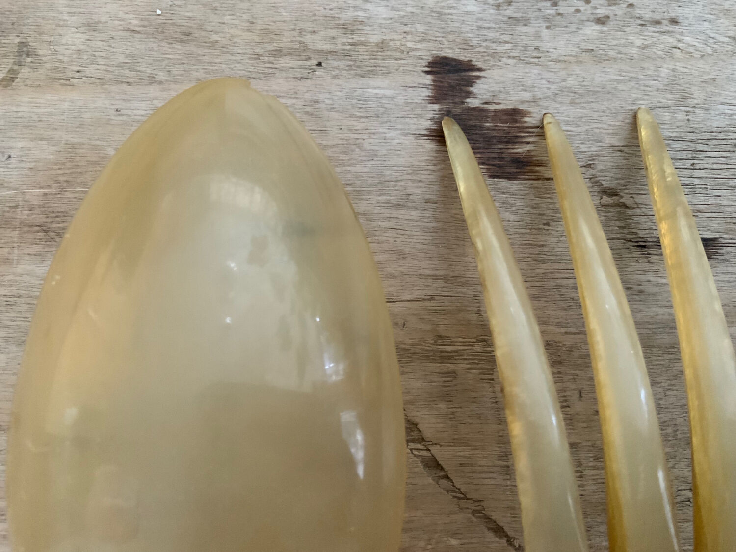 Antique salad cutlery