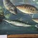 Congolese School Aquatic fauna Oil on canvas signed