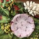 Fruit bowl or hollow dish