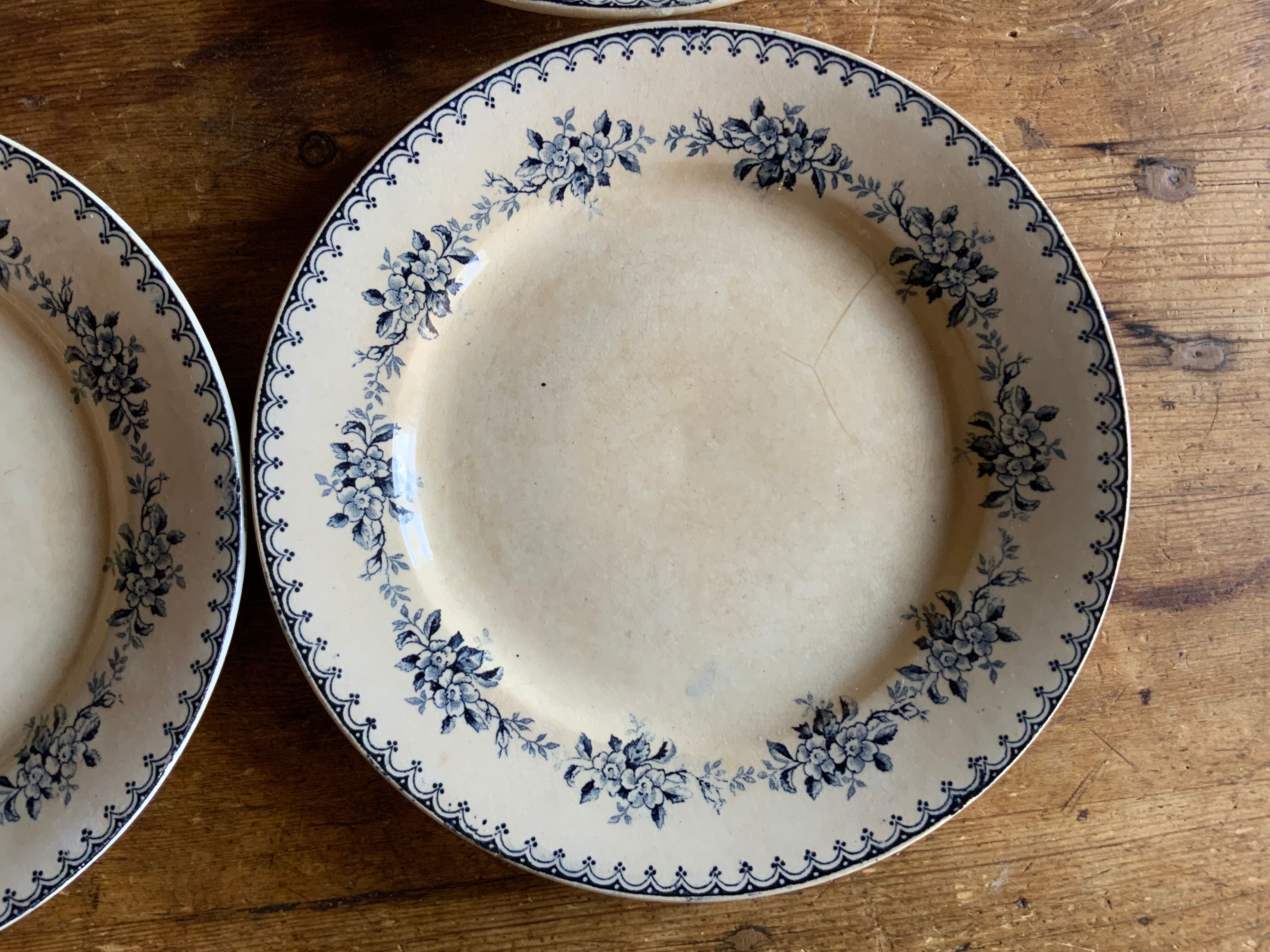 5 plates "Arcachon" Iron Land