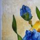 Blue and yellow irises, signed