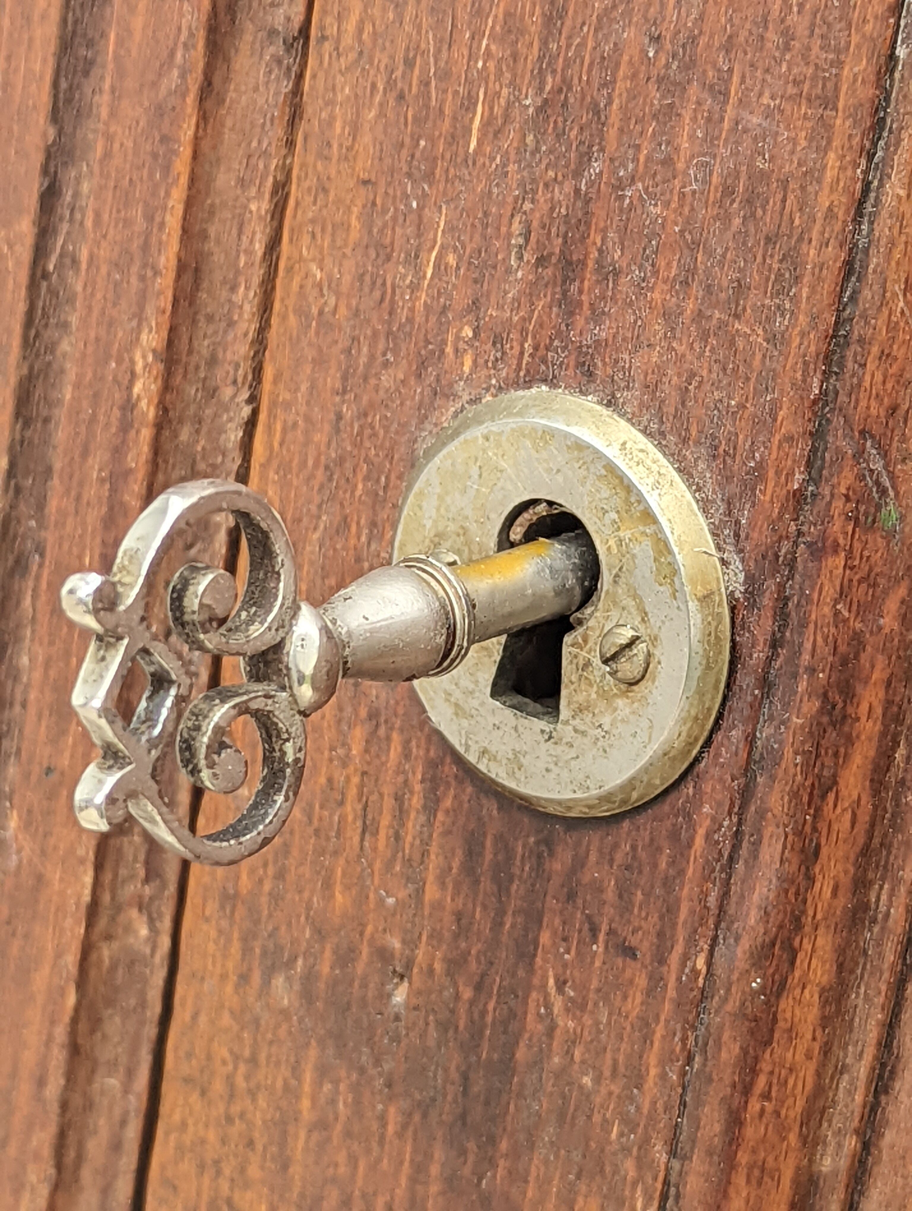 Parisian wardrobe 1 vintage door