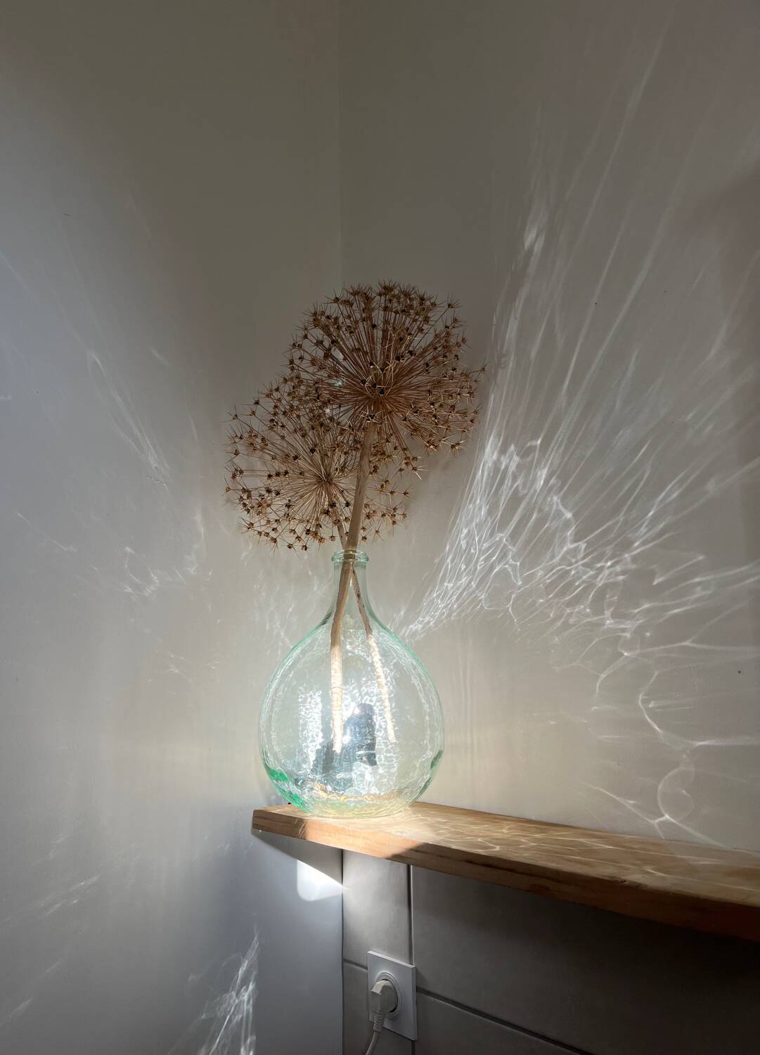 Transparent 5L demijohn