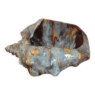 Shell cut of Vallauris, sea snail