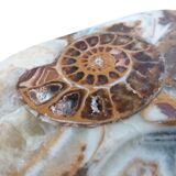 Marble pocket ashtray with fossil ammonite