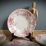 Quartet plates Campanula