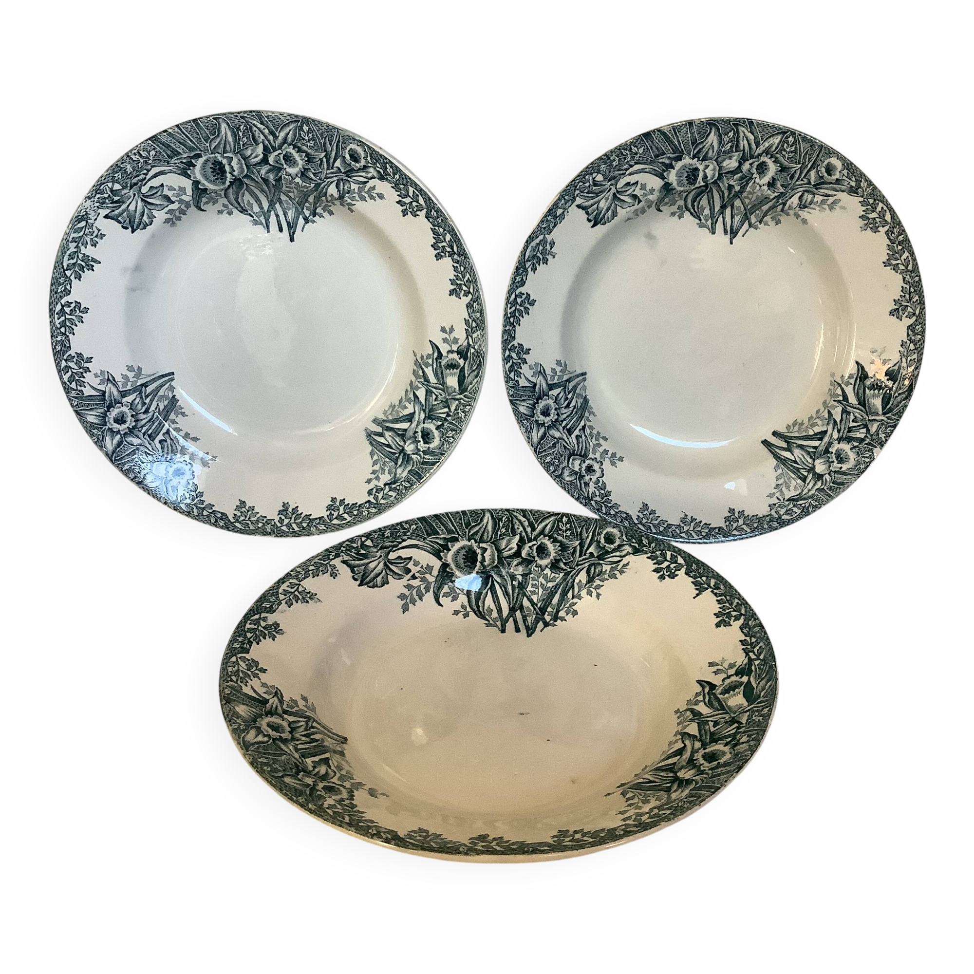 Trio of old Saint Amand narcissus model plates