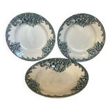 Trio of old Saint Amand narcissus model plates