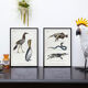 3 chimeras lithograph animal engraving
