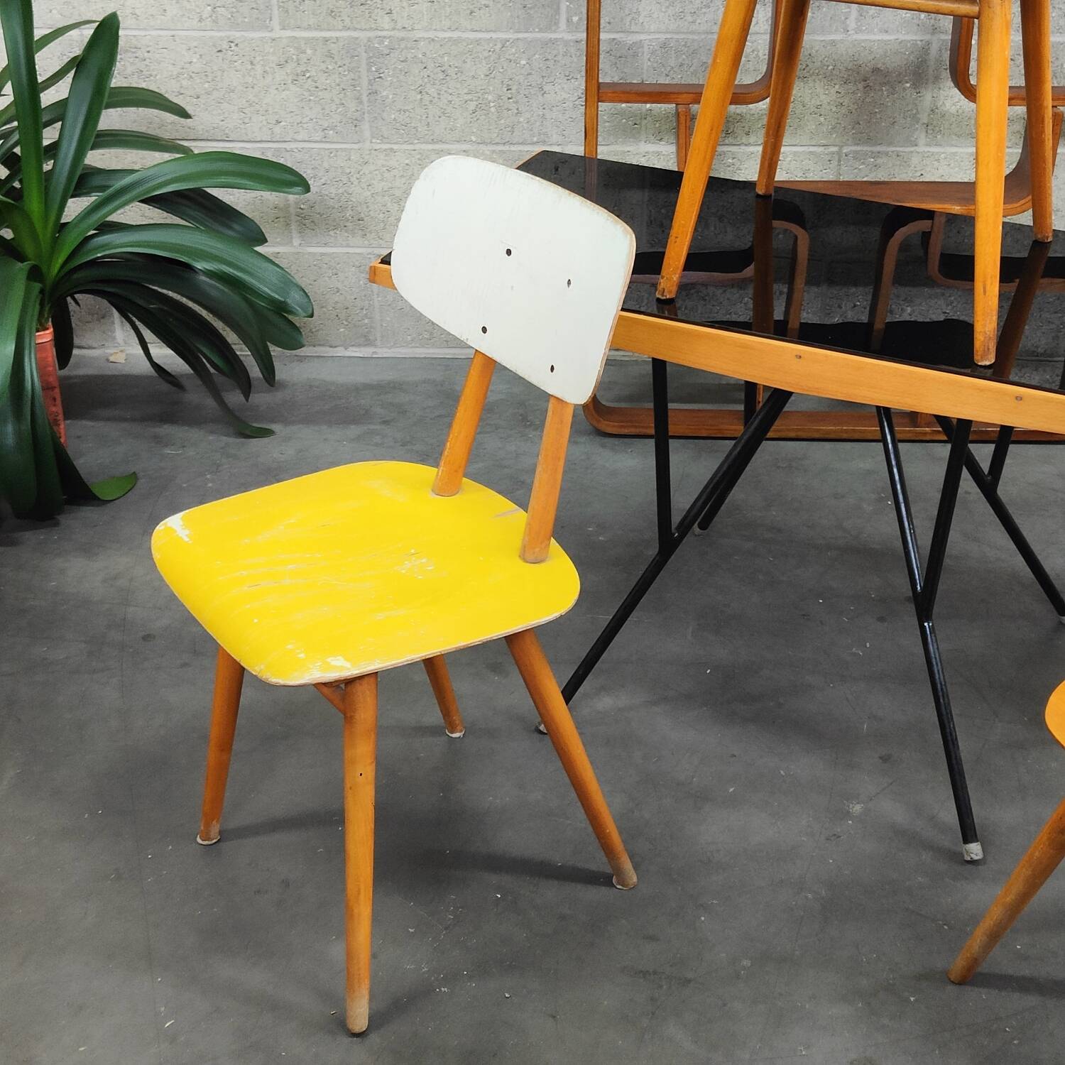 Pair of yellow and white TON Bystrice Thonet wooden chairs
