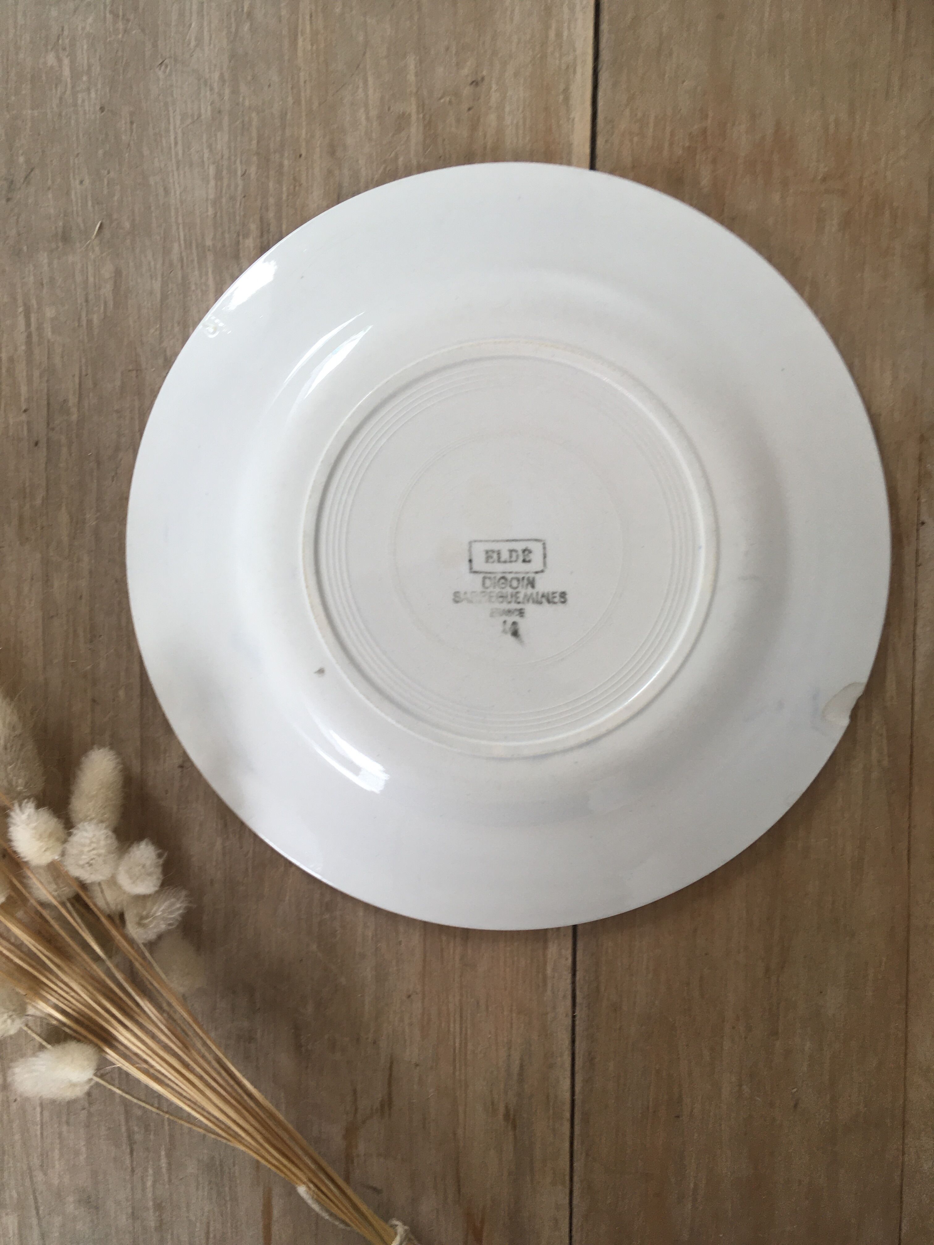 Blue & white mismatched flat plates