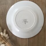 Blue & white mismatched flat plates