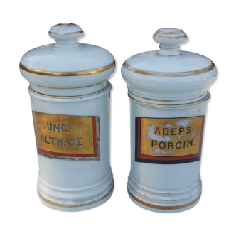 Paire de pots a pharmacie en porcelaine