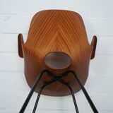 Set of 6 Italian Vittorio Nobili Medea chairs with armrests for Fratelli Tagliabue