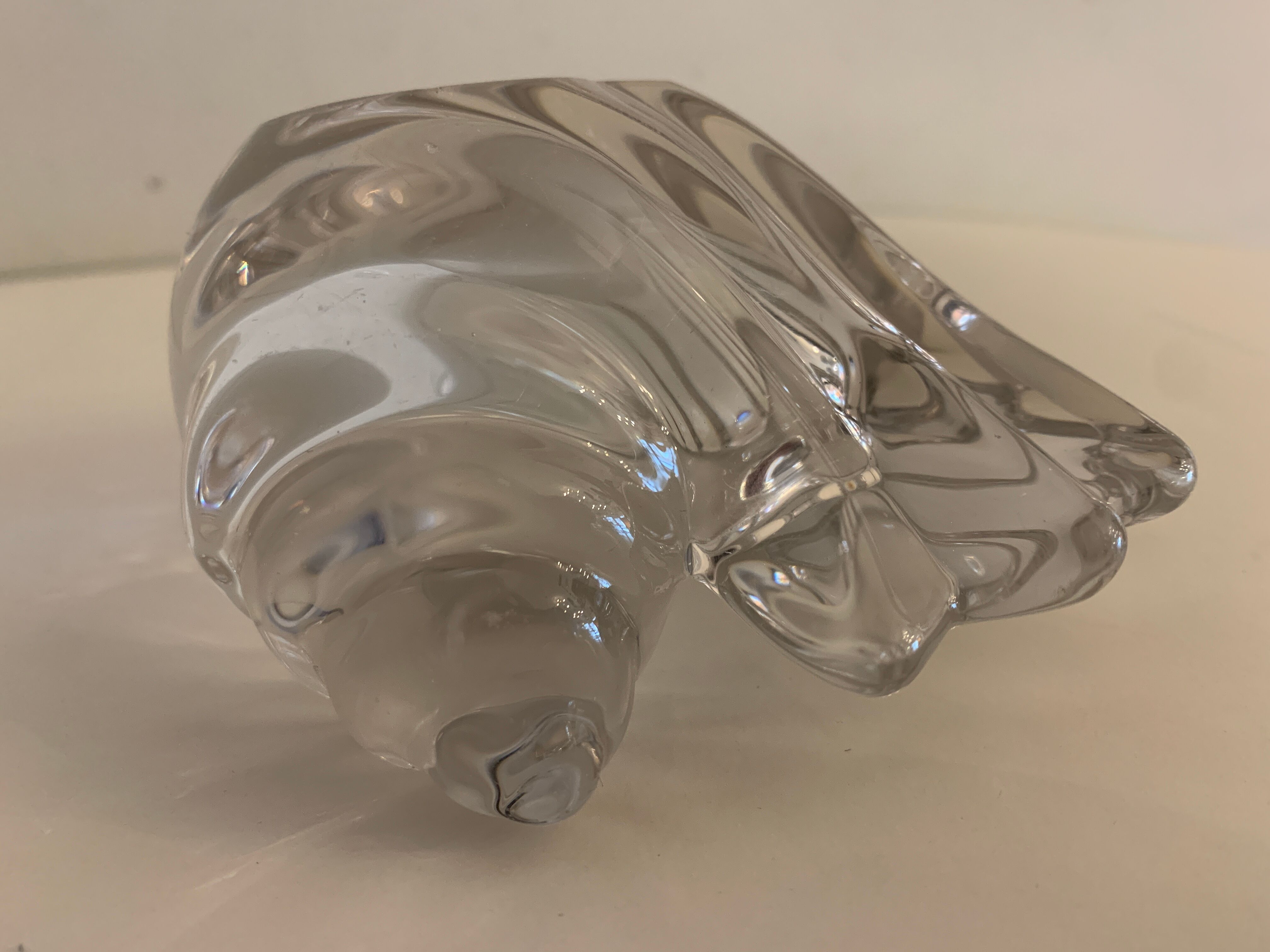 Empty crystal pocket in the shape of a shell