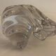 Empty crystal pocket in the shape of a shell