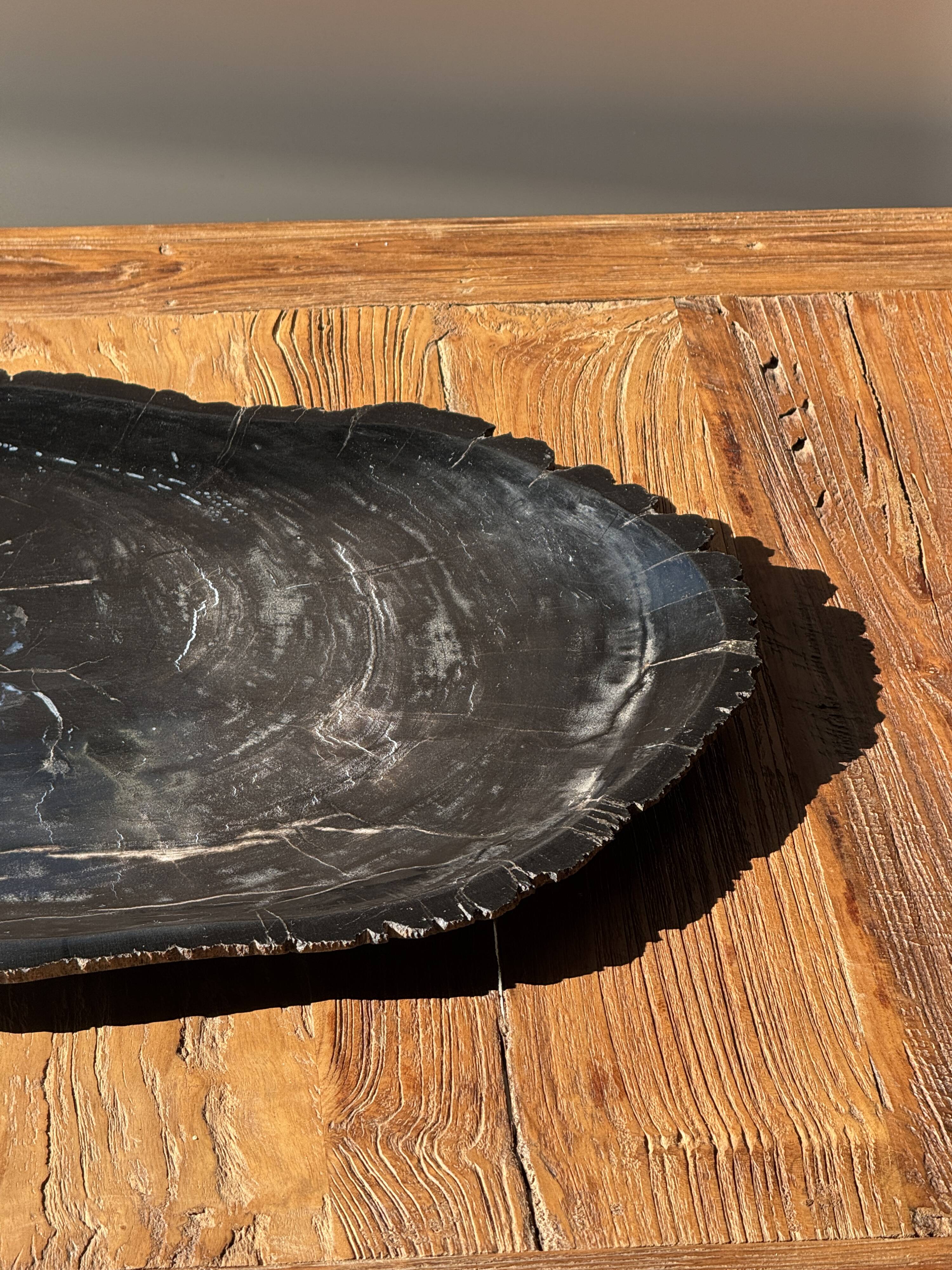 Very large black petrified wood tray or bowl D35