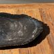 Very large black petrified wood tray or bowl D35