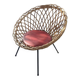 Franco Albini for  Rohe Noordwolde fauteuil