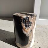 Side table in petrified wood