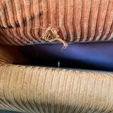 Vintage orange sofa bed