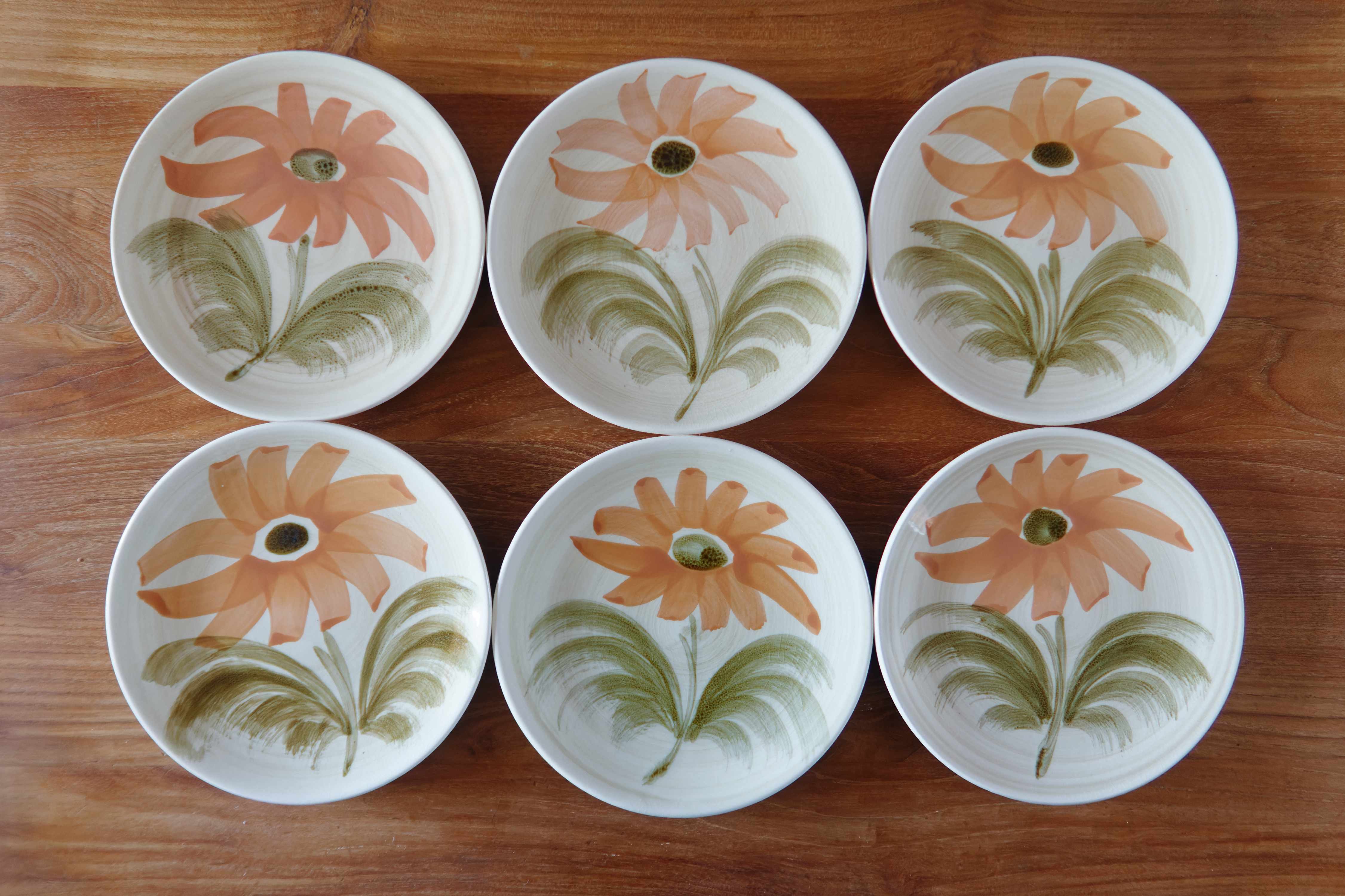 Lot 6 plates + 1 dish faience St Amand years 70