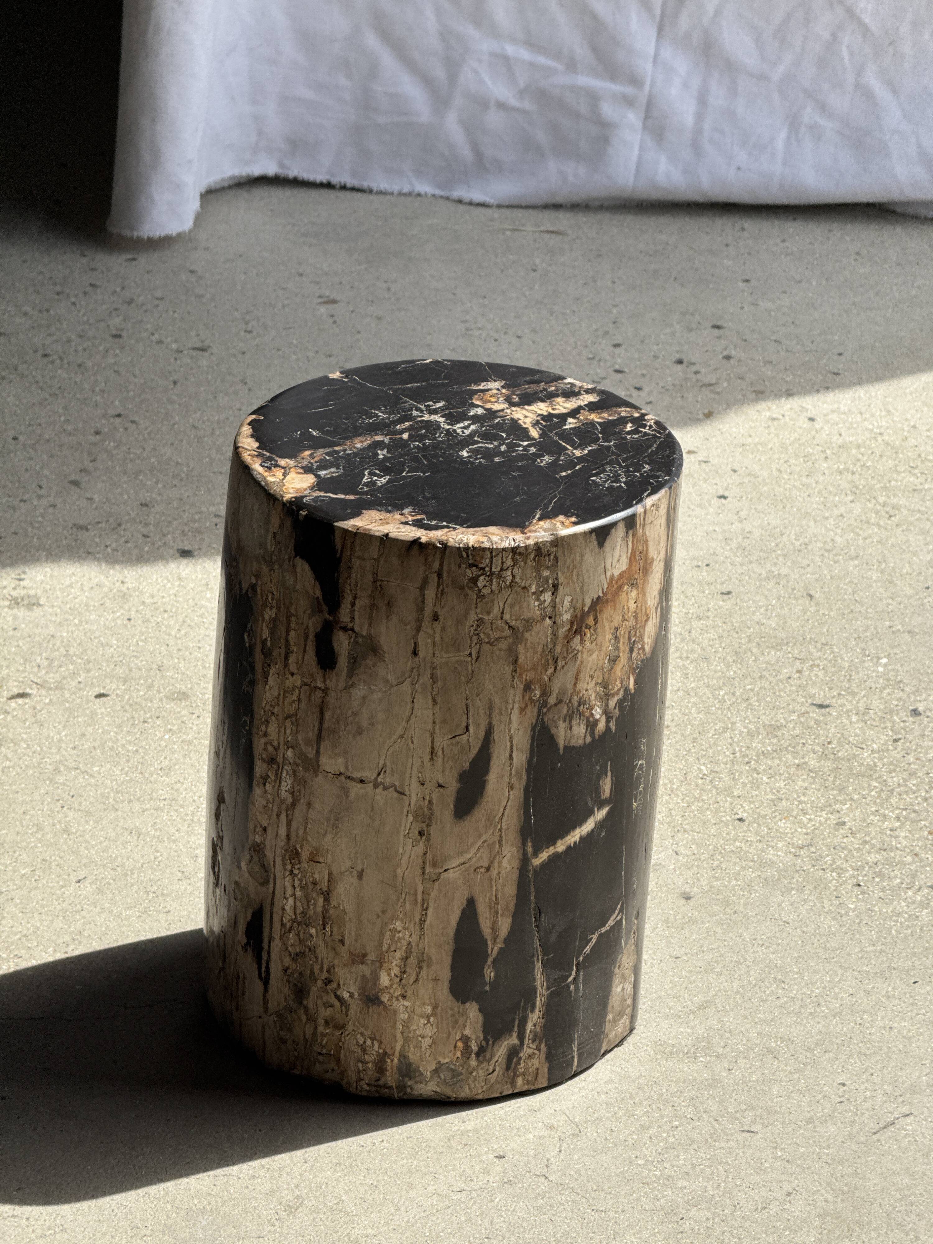 Black petrified wood side table with beige side H35 D24 - 3352