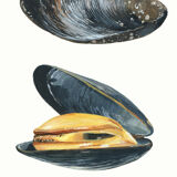 "Charlie, Alba & Simone", molds, art print 21/29.7 cm