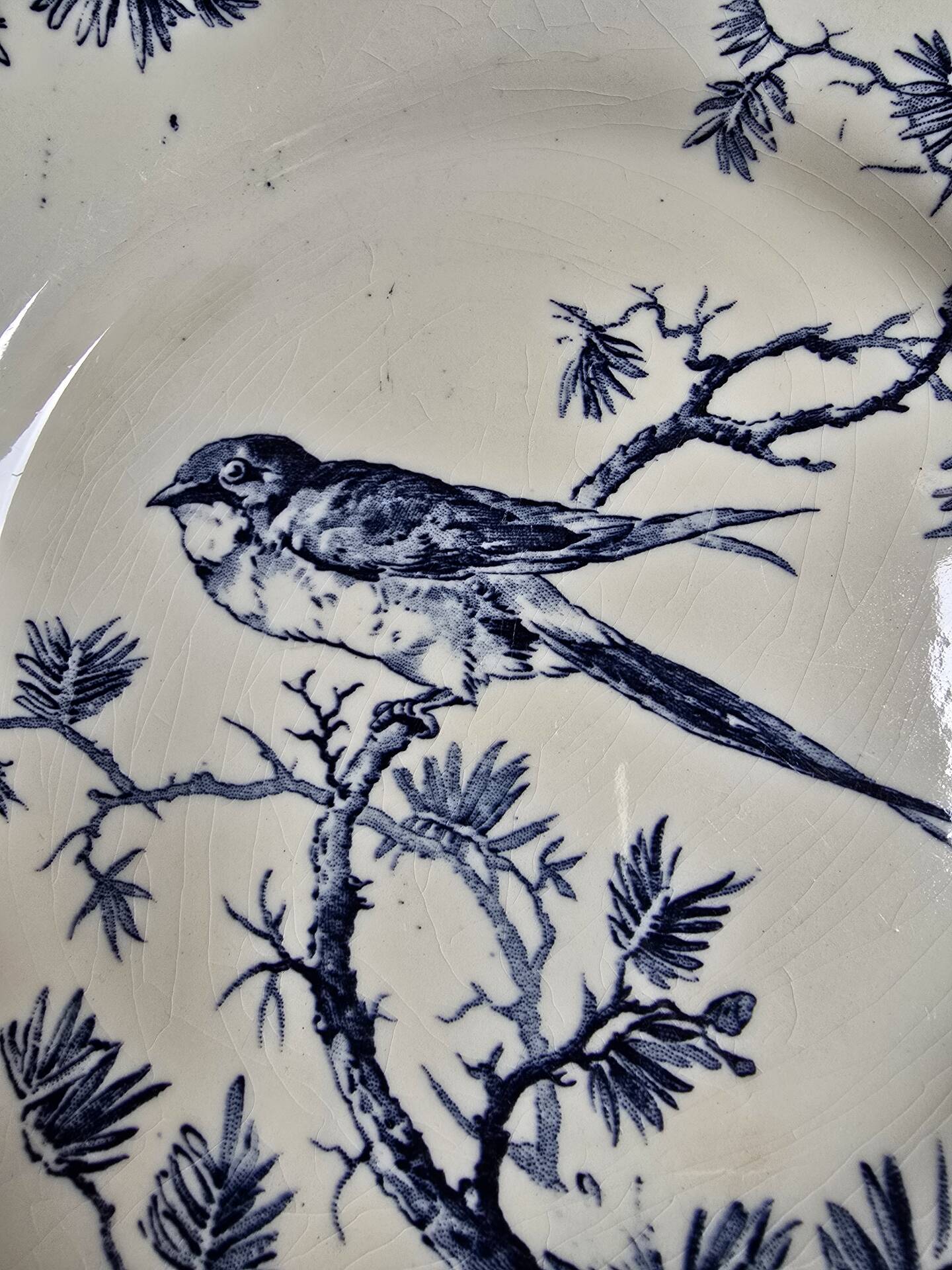 Two flat plates Gien blue tone