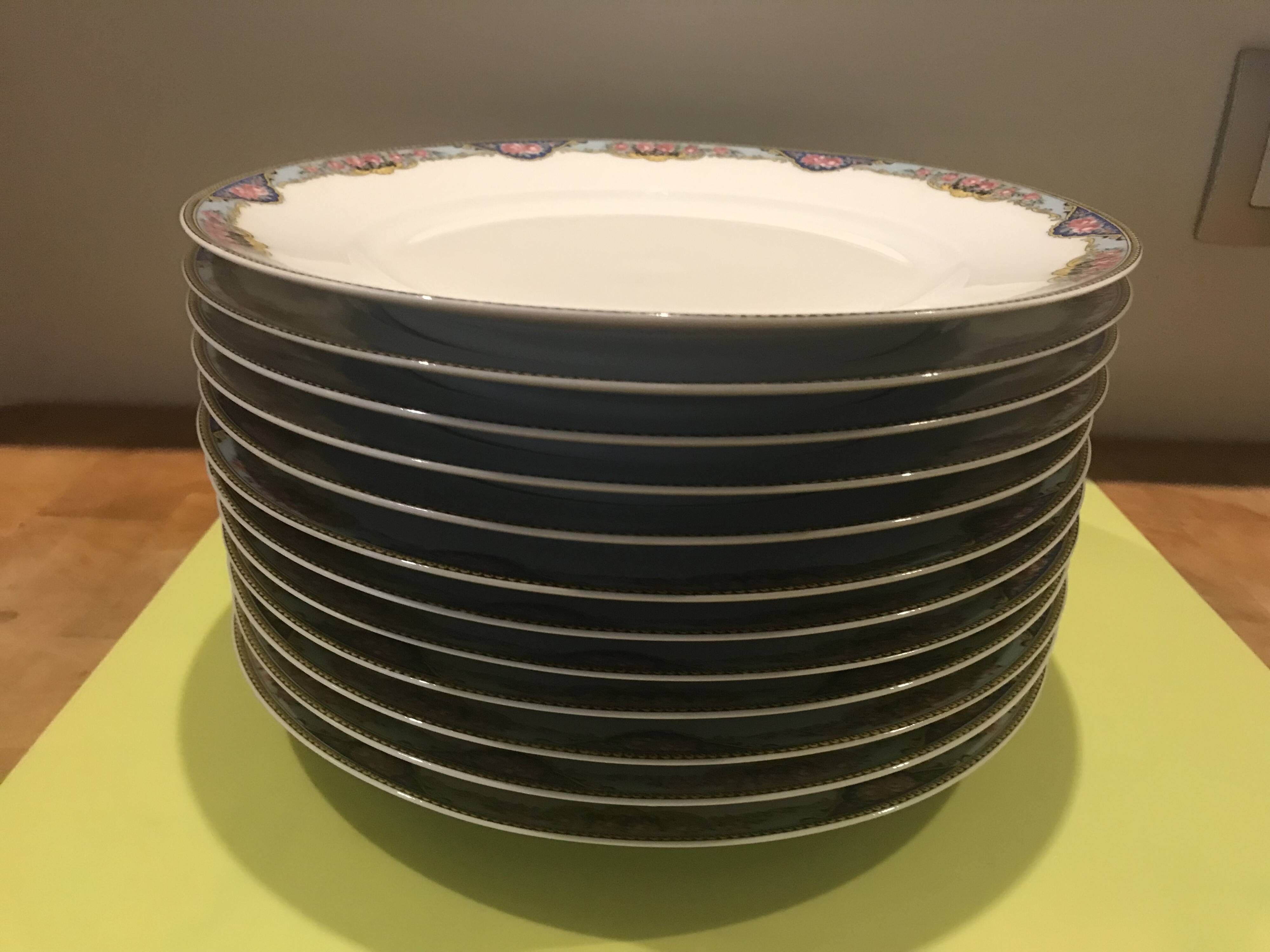 12 flat plates Havilland